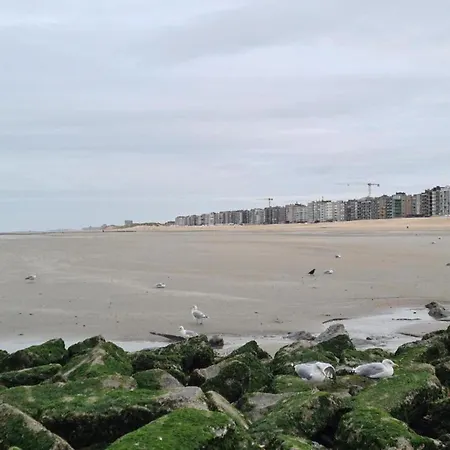 Appartement By The Beach, Cleaning Included Koksijde